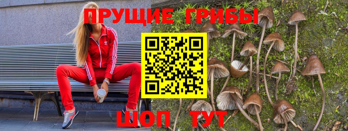 Галлюциногенные грибы мухоморы Сальск