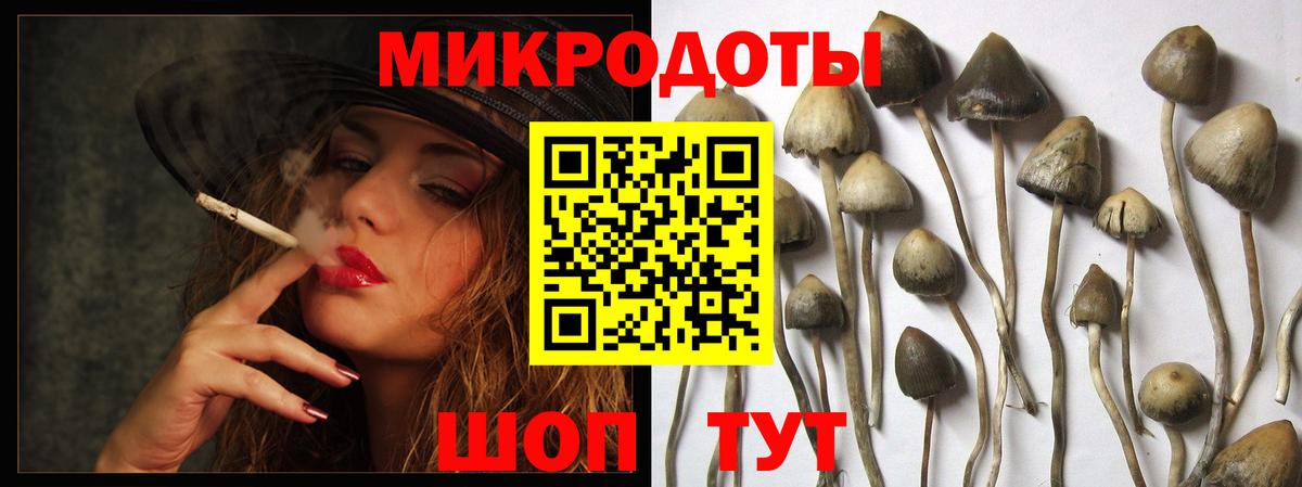 Сальск  купить  сайты  Вход с VPN  Галлюциногенные грибы мухоморы 